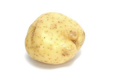 single potato